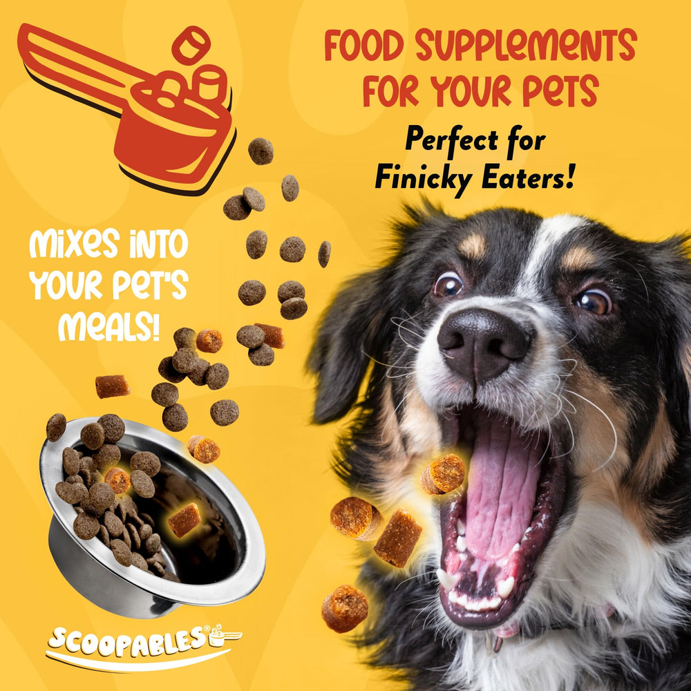 NaturVet Scoopables bag front highlighting flavor appeal for picky eaters and digestion
