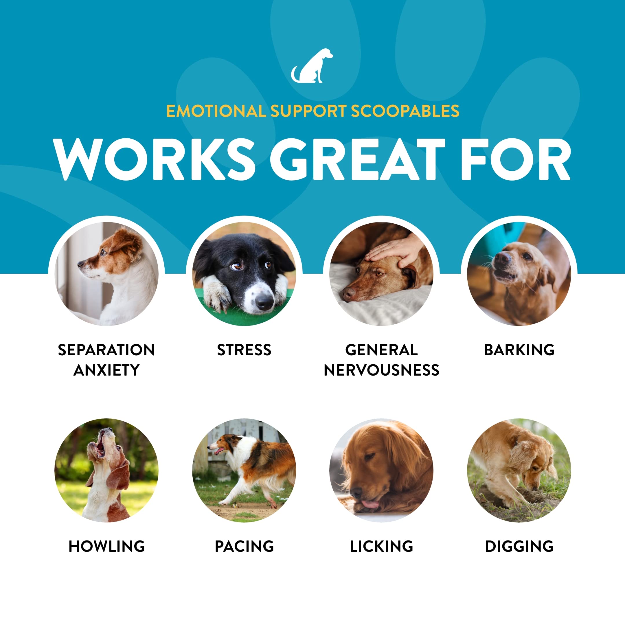 NaturVet Scoopables bottle dispensing action for easy daily use.
