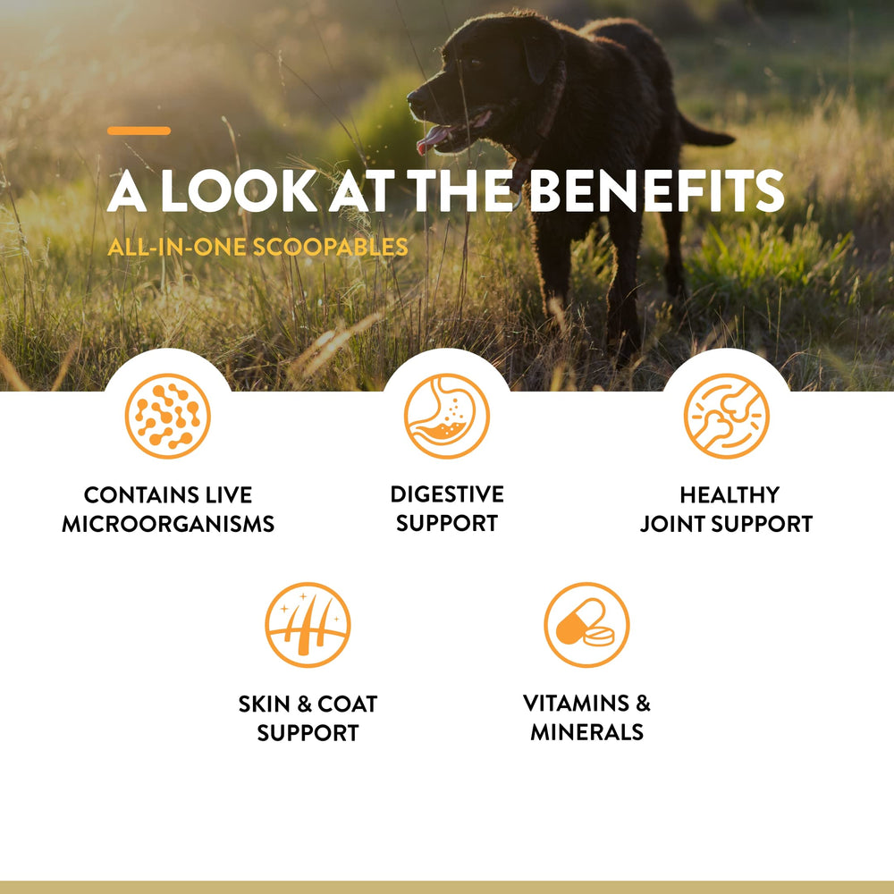 NaturVet Scoopables digestive close-up highlights gut-friendly prebiotics and probiotics.