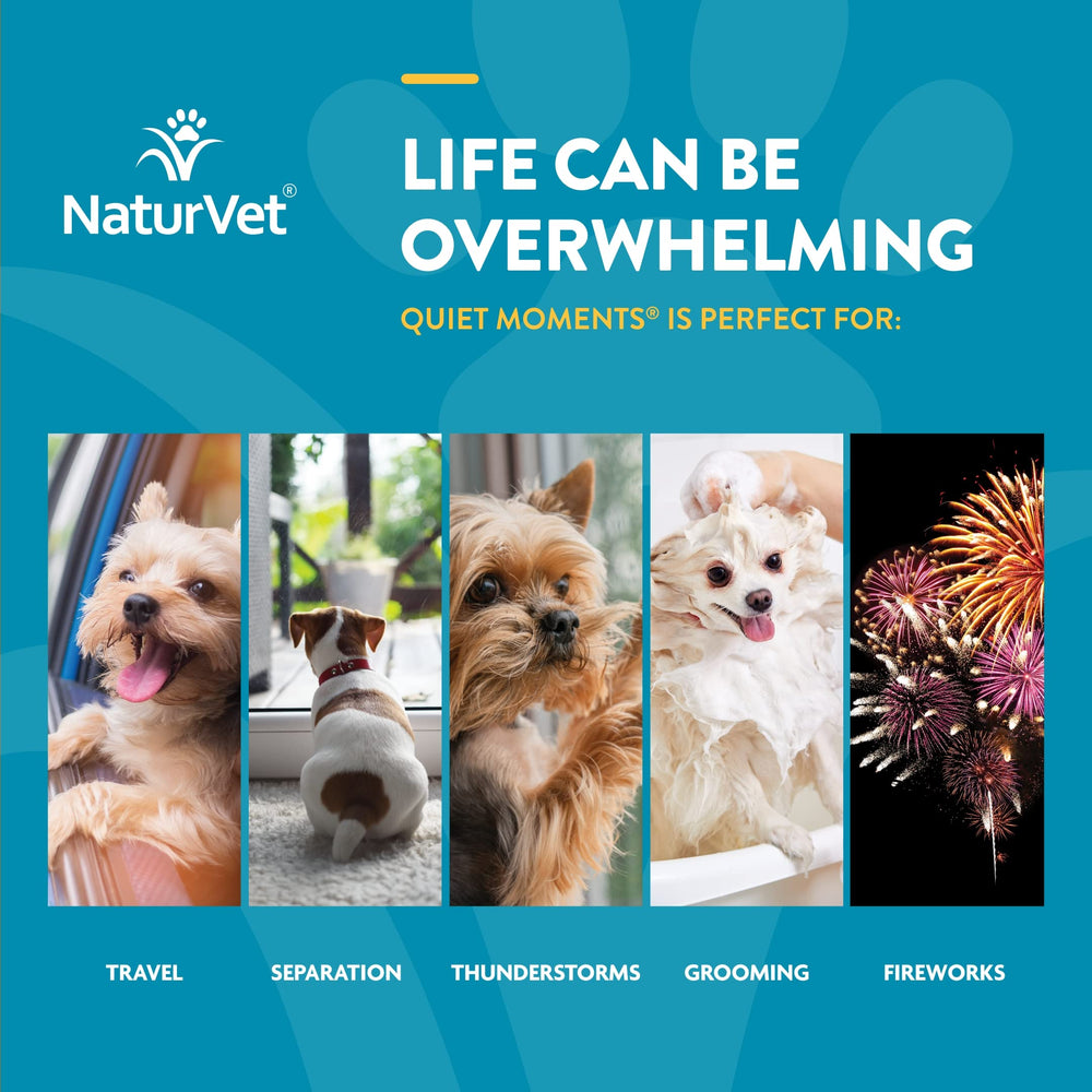 NaturVet Scoopables Quiet Moments dog relaxed on bed after meal