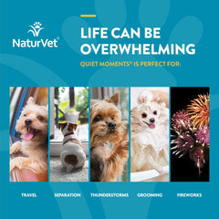 NaturVet Scoopables Quiet Moments dog relaxed on bed after meal