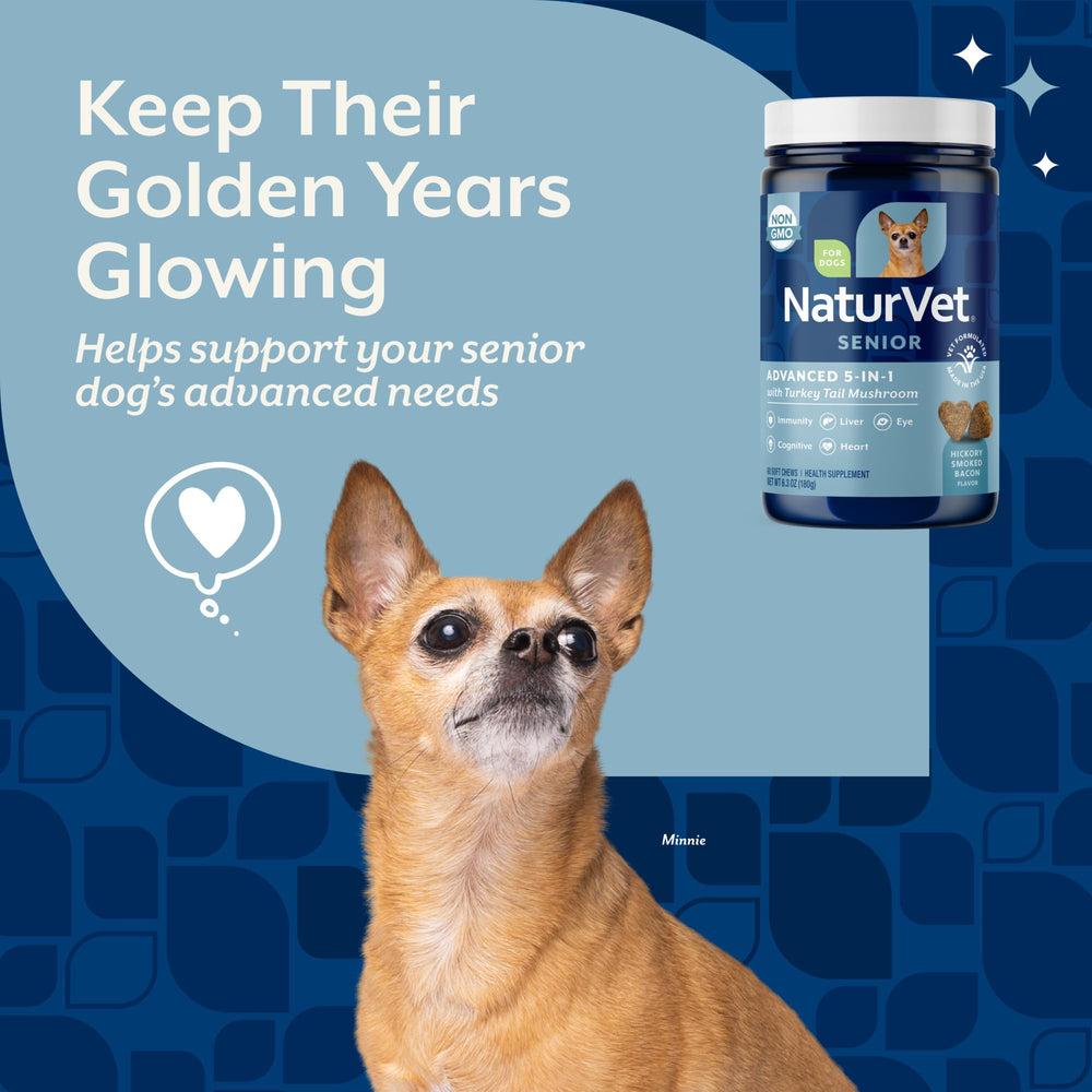 NaturVet Senior Advanced 5-in-1 bottle label highlights ginkgo biloba and lutein for eye health.