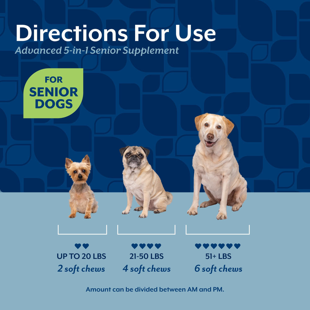 NaturVet Senior Advanced 5-in-1 ingredients list includes ginkgo biloba and lutein for cognition and eye health.