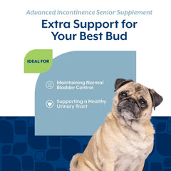 NaturVet Senior Advanced Incontinence dog enjoying a treat, potential urinary support.