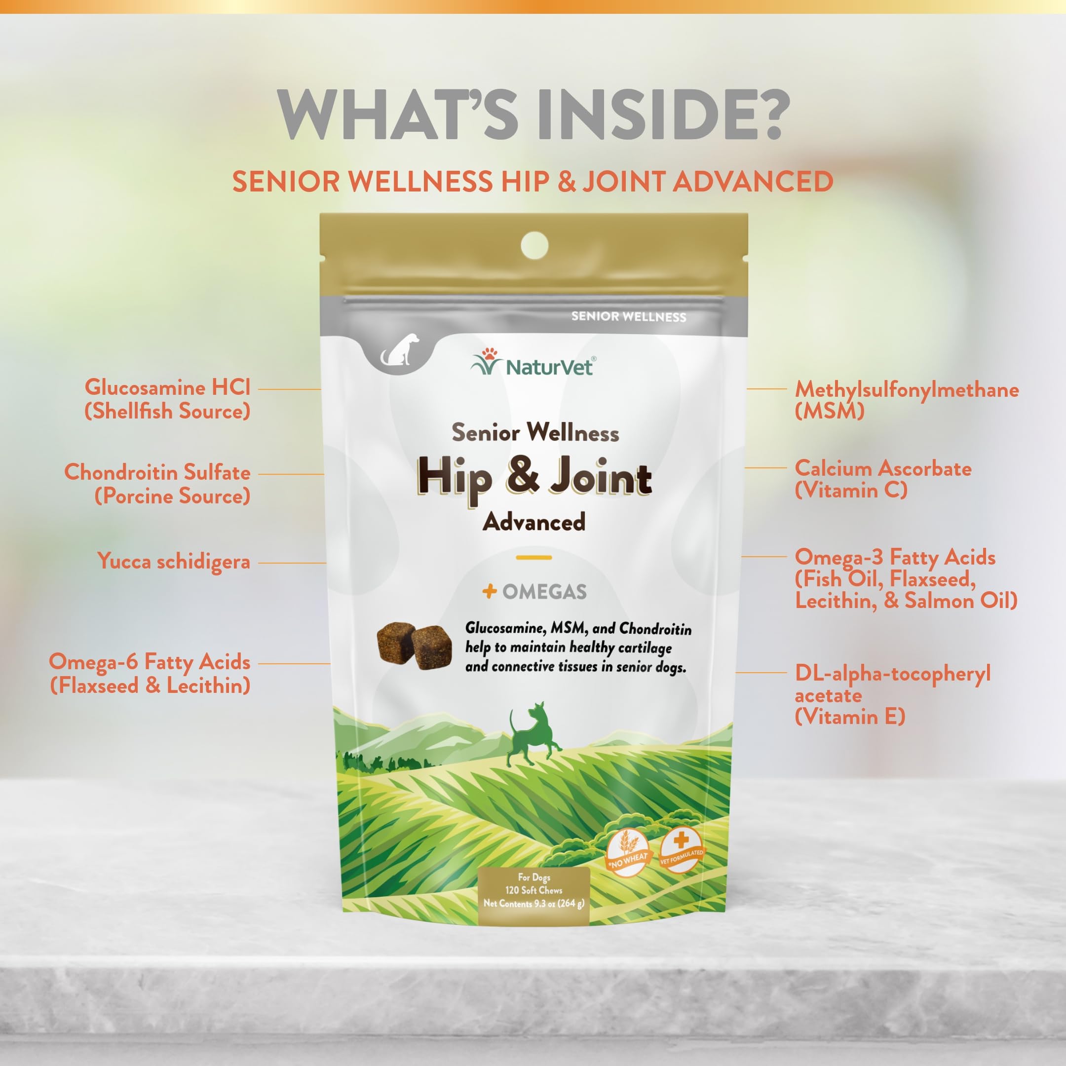 NaturVet Senior Wellness chews in a bowl illustrate pet-friendly texture and flavor.