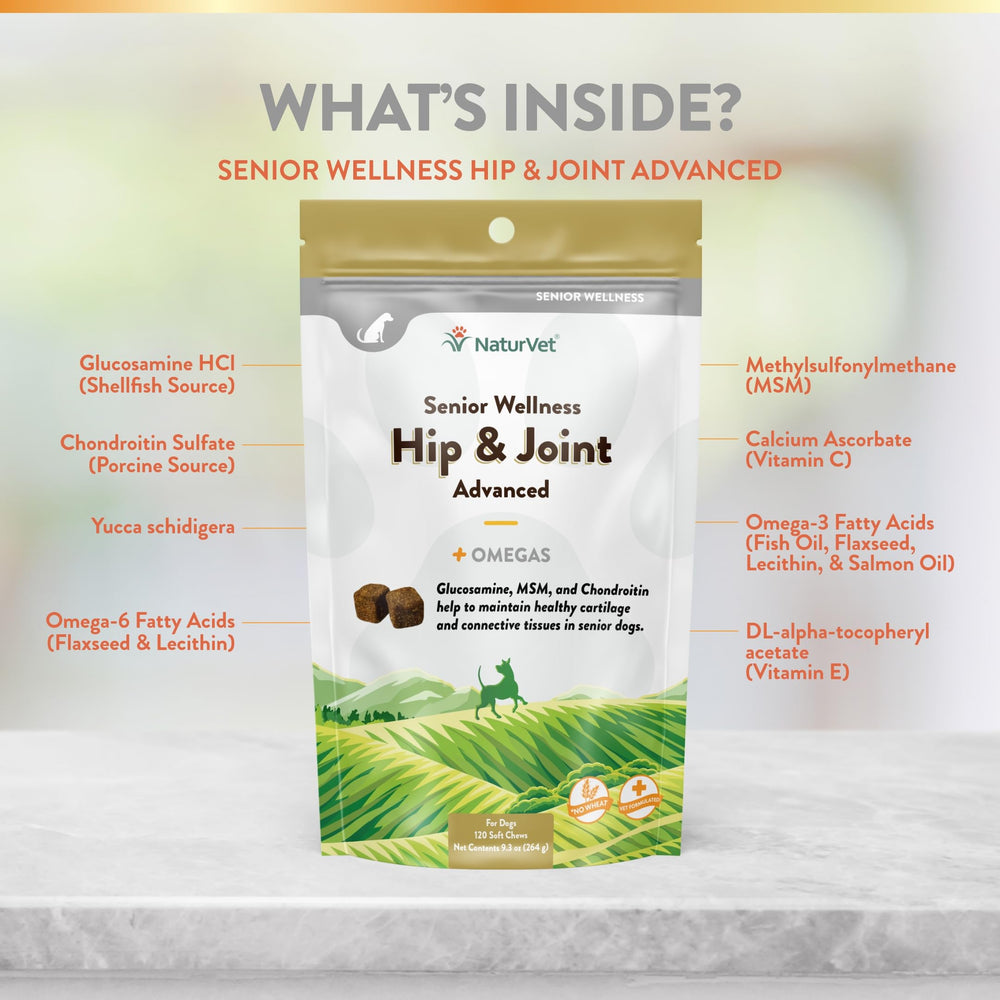 NaturVet Senior Wellness chews in a bowl illustrate pet-friendly texture and flavor.