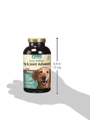NaturVet Senior Wellness dog-walk image shows leash-friendly movement with improved comfort.