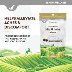 NaturVet Senior Wellness ingredients graphic features MSM, chondroitin, glucosamine.