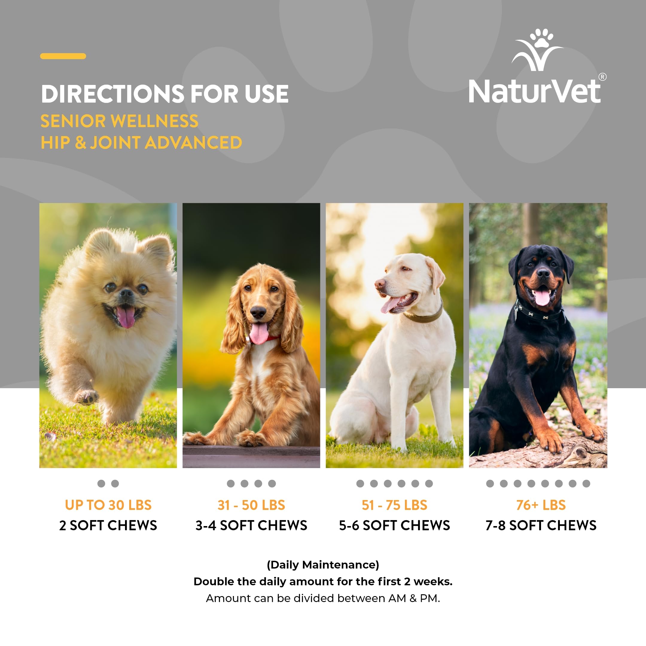 NaturVet Senior Wellness label highlights vet formulation and quality manufacturing.