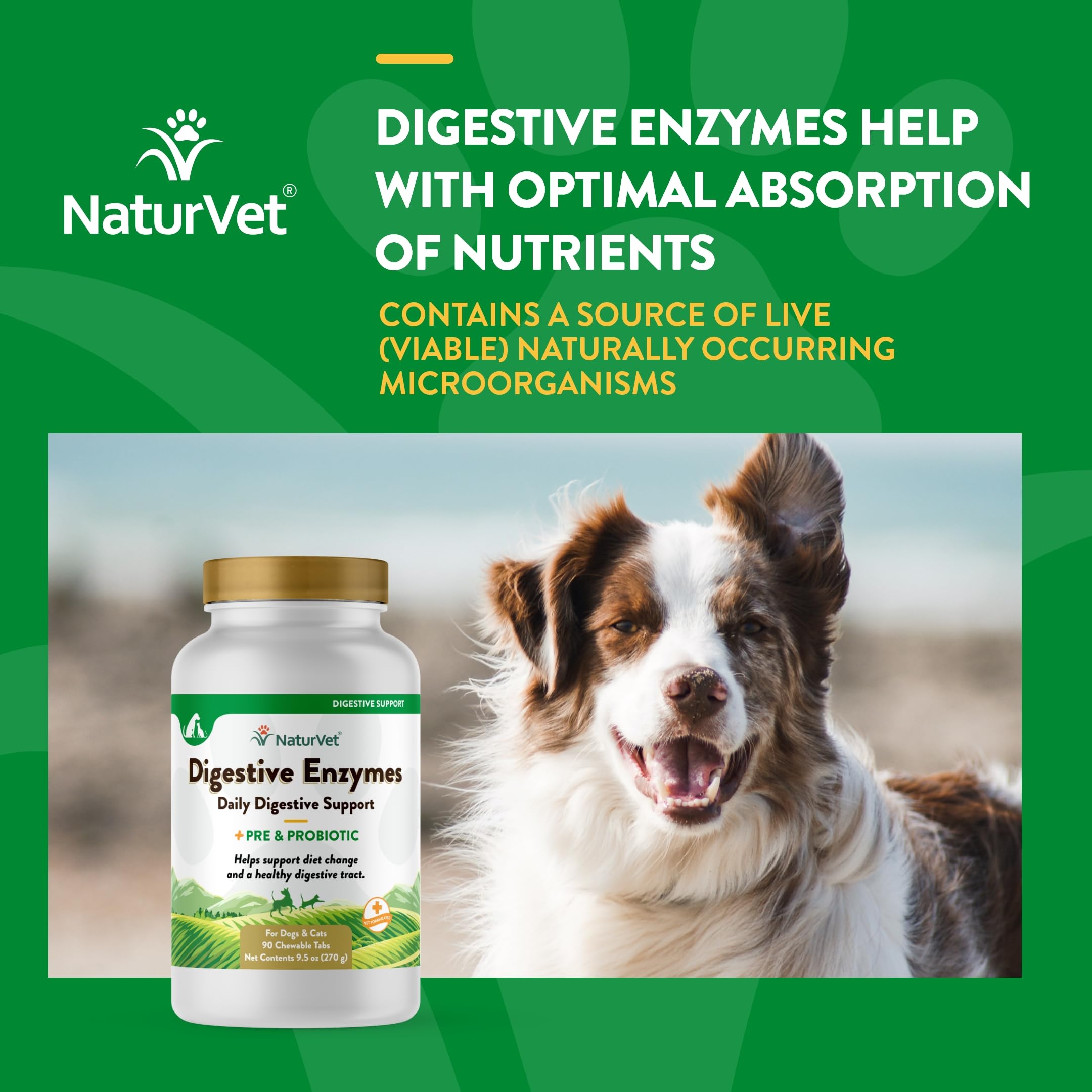 NaturVet Sensitive stomach aid for dogs in bowl setting.