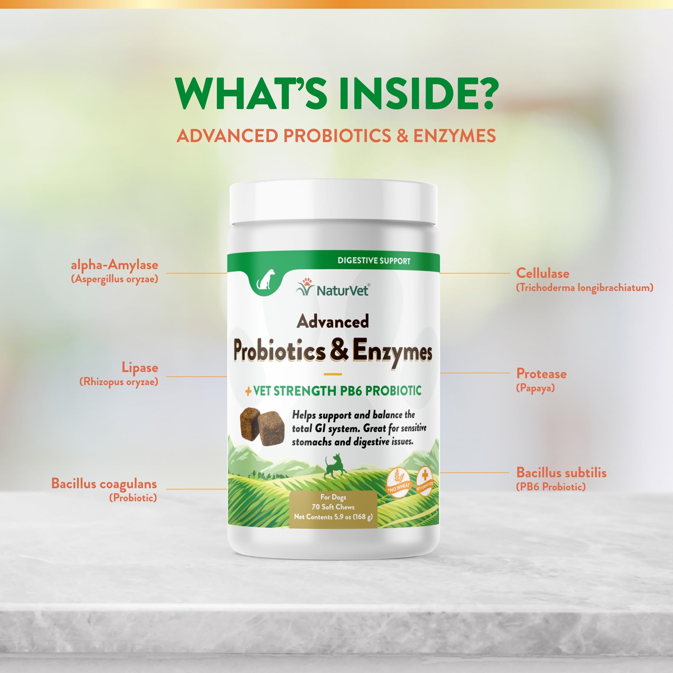 NaturVet soft chews scooped for convenient dosing.