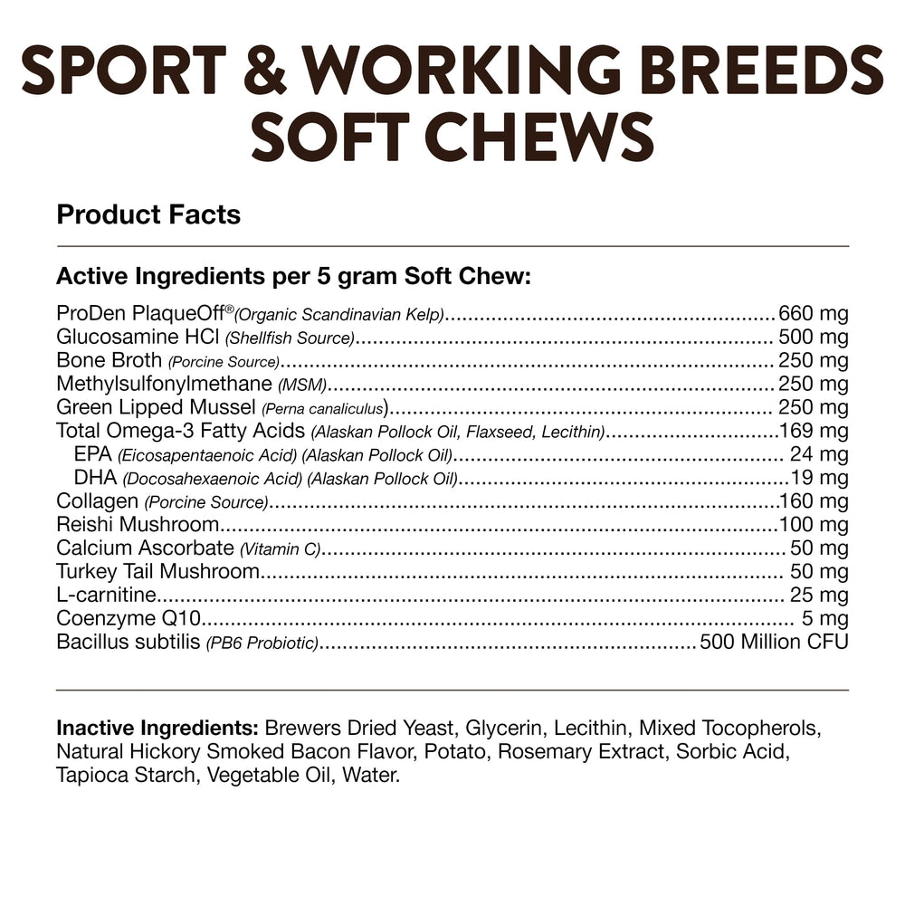 NaturVet Sport coat-shine image suggesting healthier coat and skin.