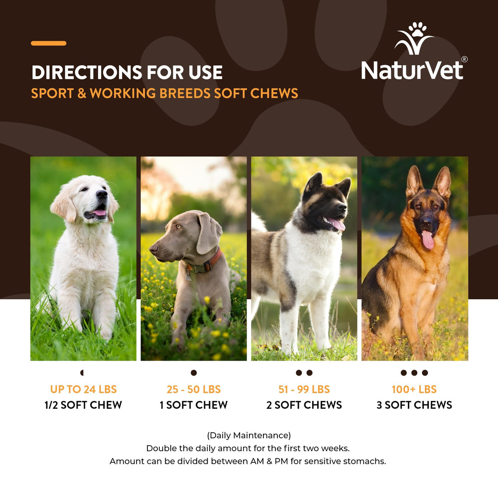 NaturVet Sport immune-support probiotic bottle showing gut health potential.