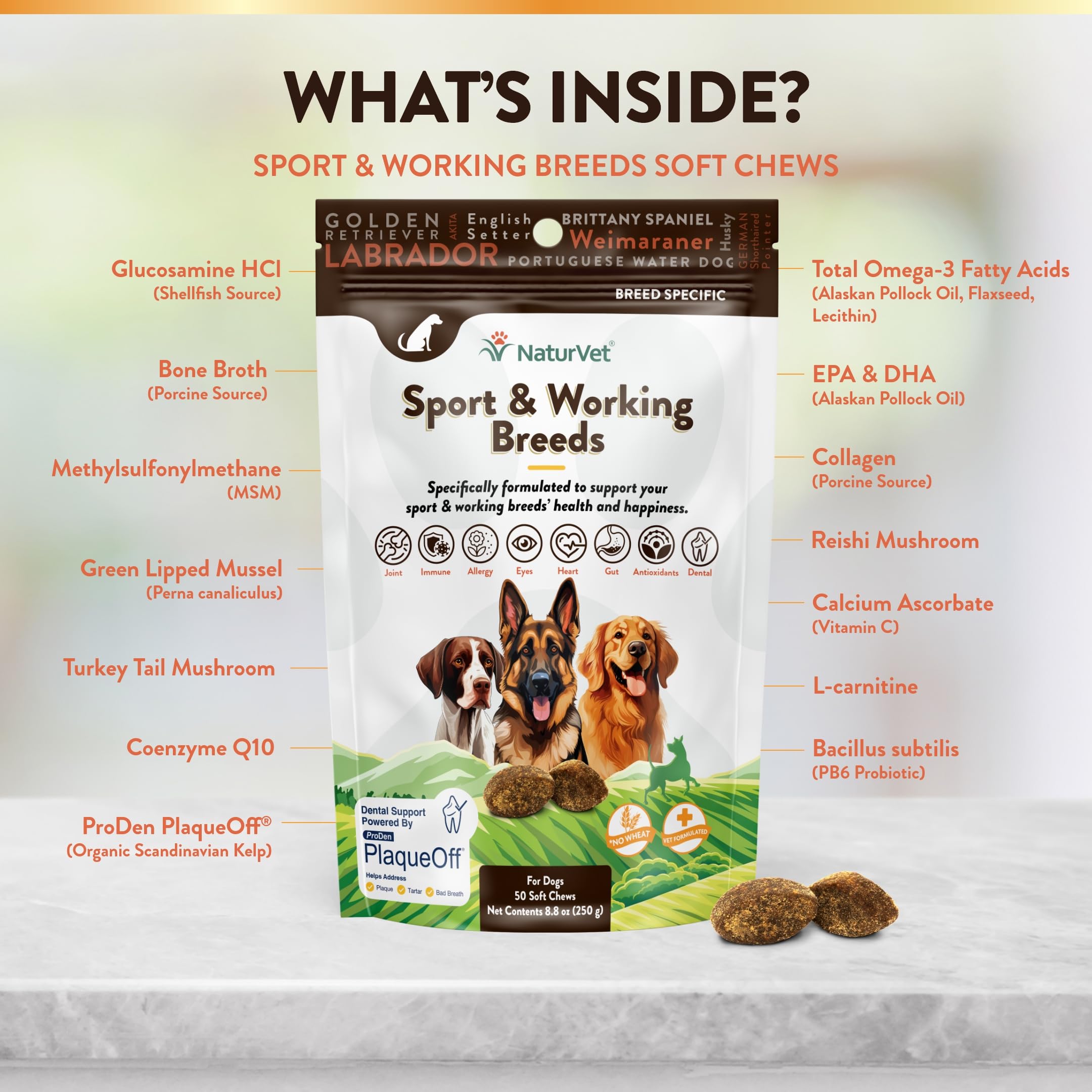 NaturVet Sport joint-support ingredients visual highlighting joint health support.