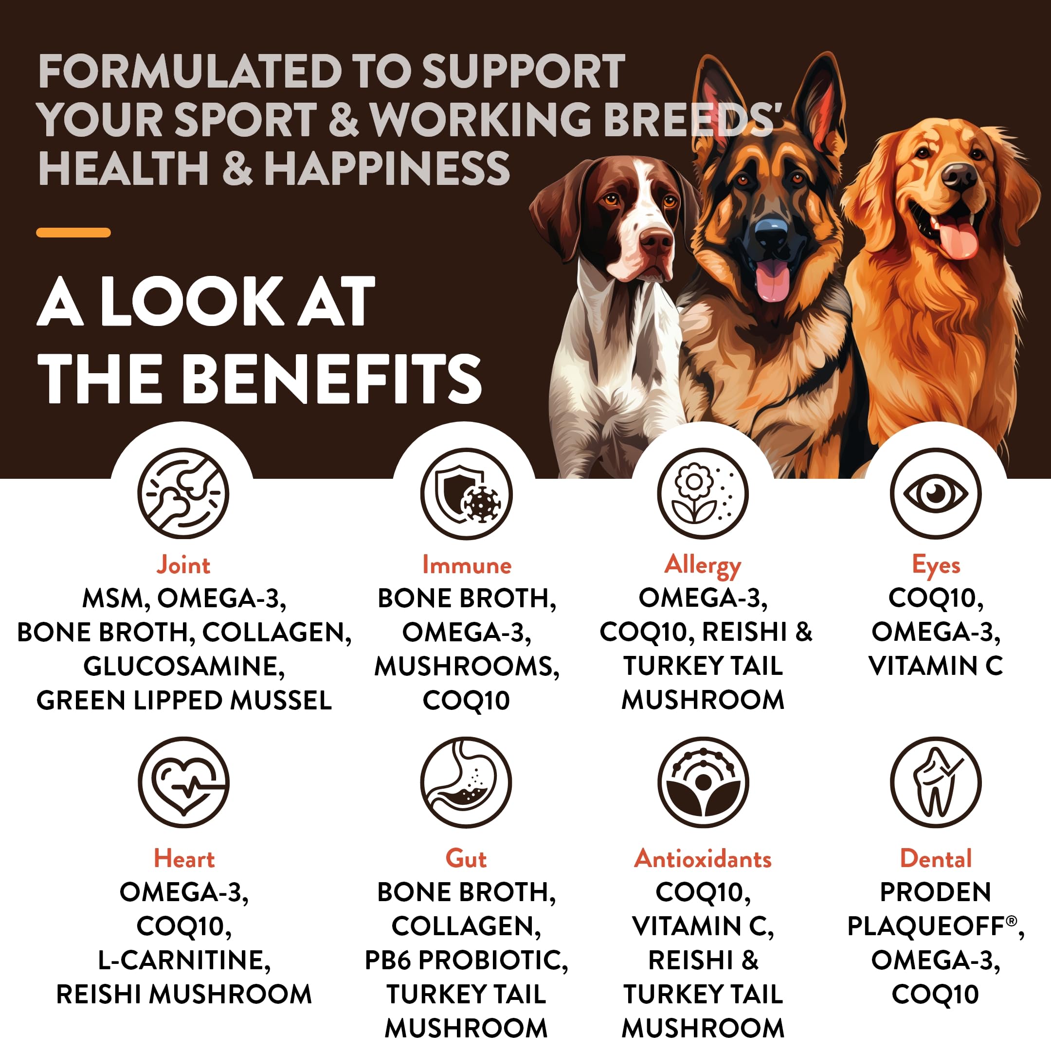 NaturVet Sport soft chews close-up highlighting joint, skin, and digestion support.