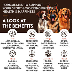 NaturVet Sport soft chews close-up highlighting joint, skin, and digestion support.