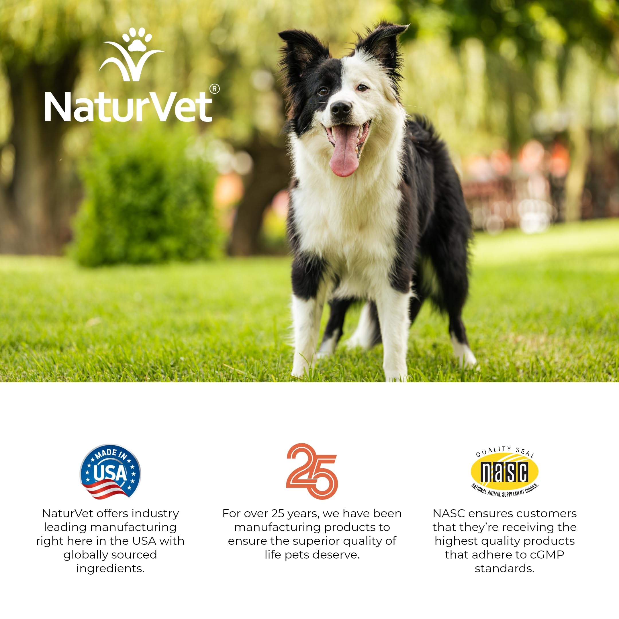 NaturVet VitaPet omega-6 capsule closeup emphasizes nourishing fatty acids.