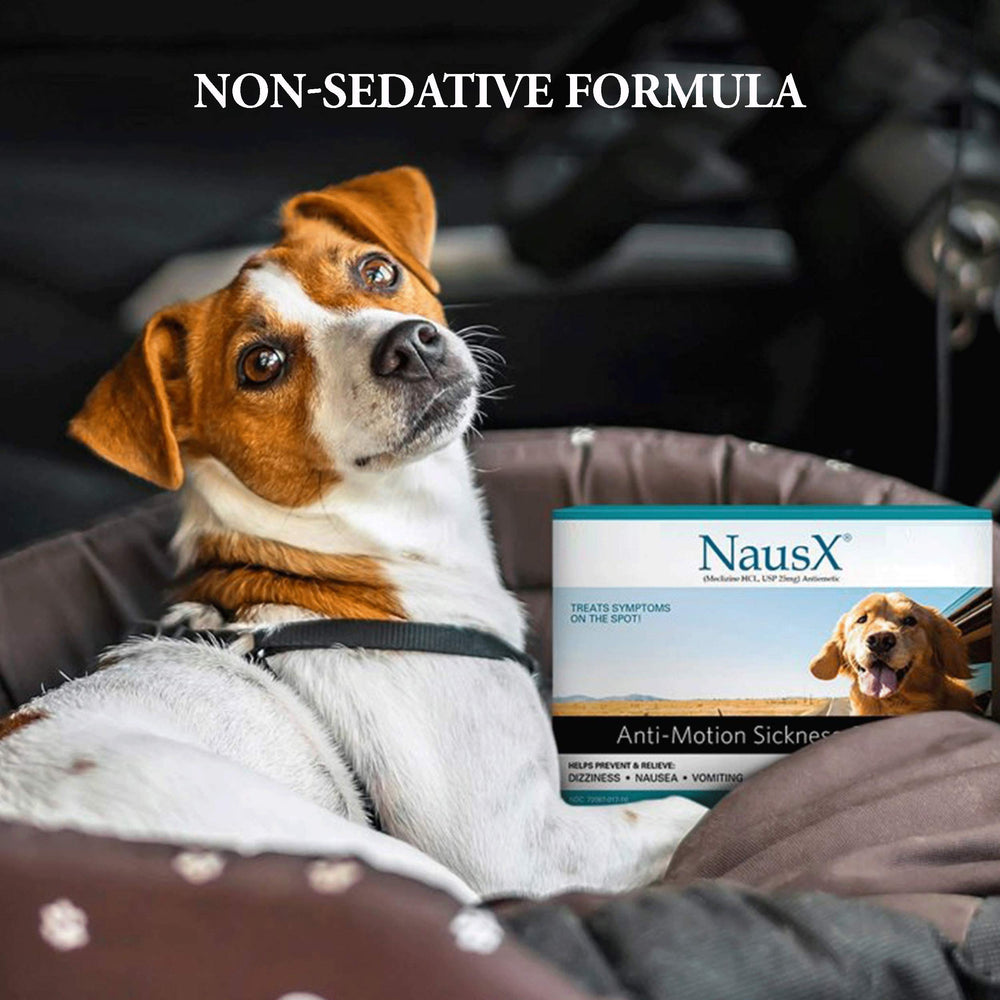 NausX precautions: avoid Meclizine mix and consult a vet