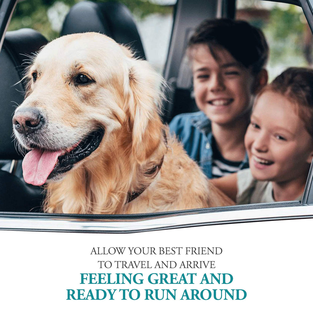 NausX travel-ready anti-nausea solution for cars, trains, boats