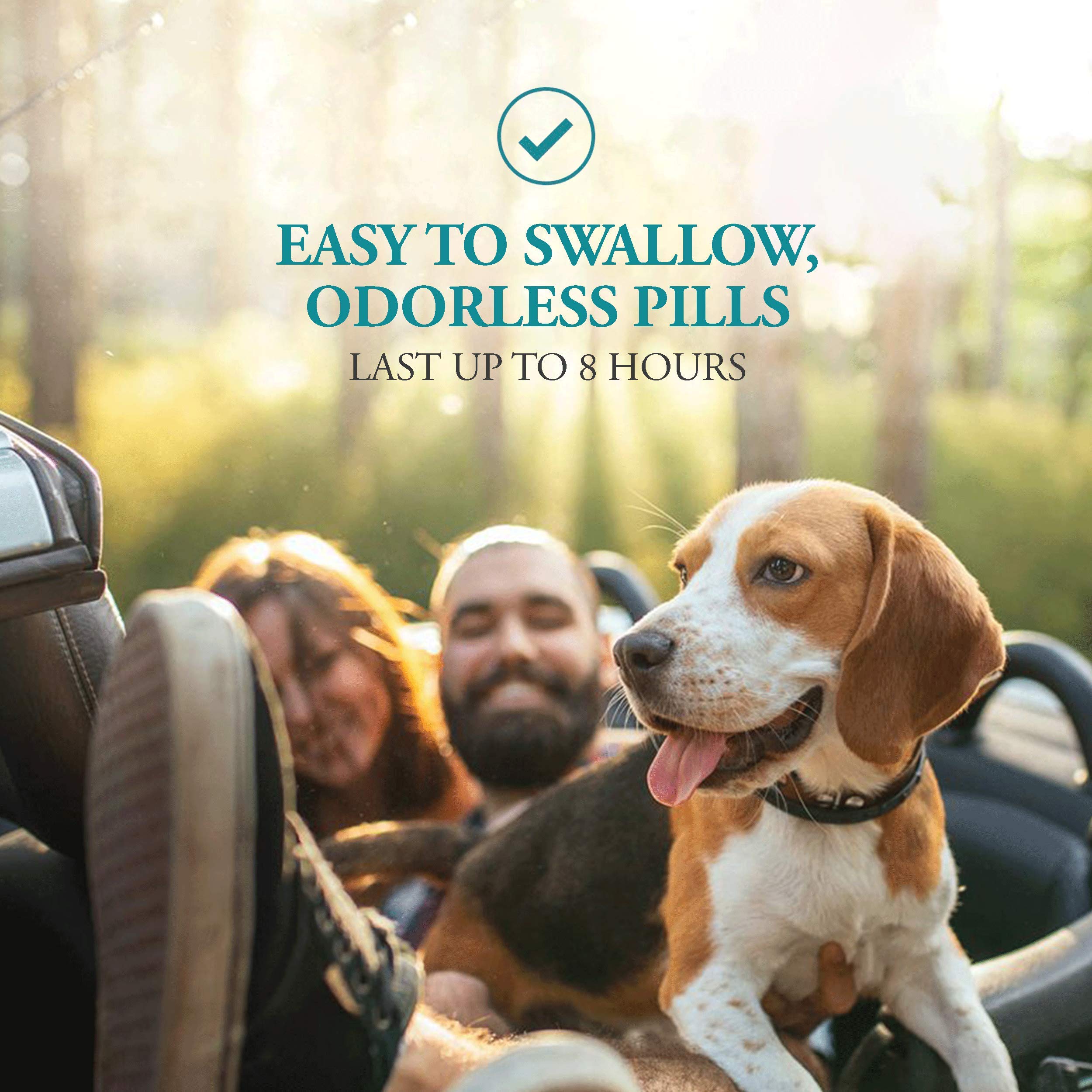 NausX use before travel may prevent stomach upset in dogs