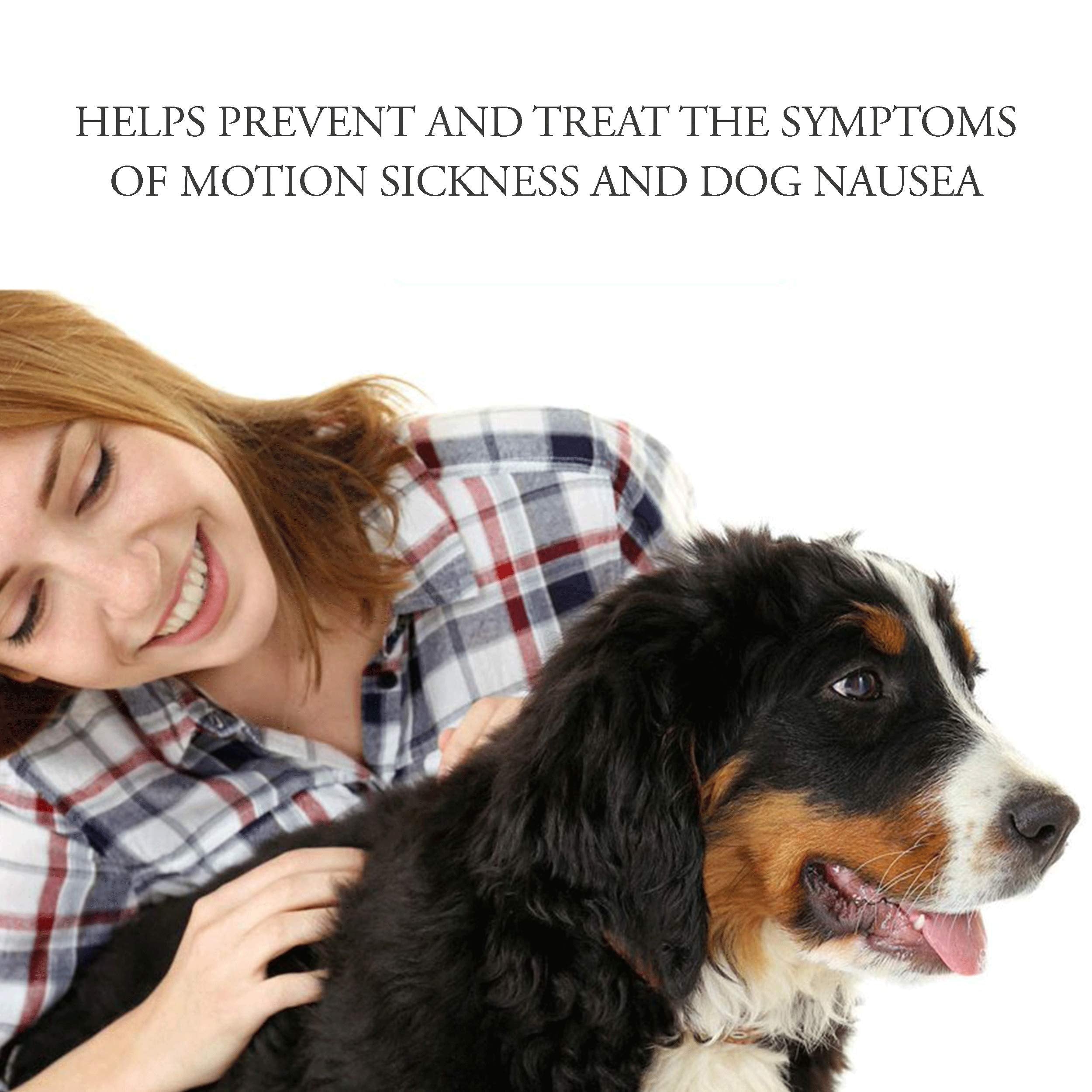 NausX vet advice: consult your veterinarian for personalized guidance
