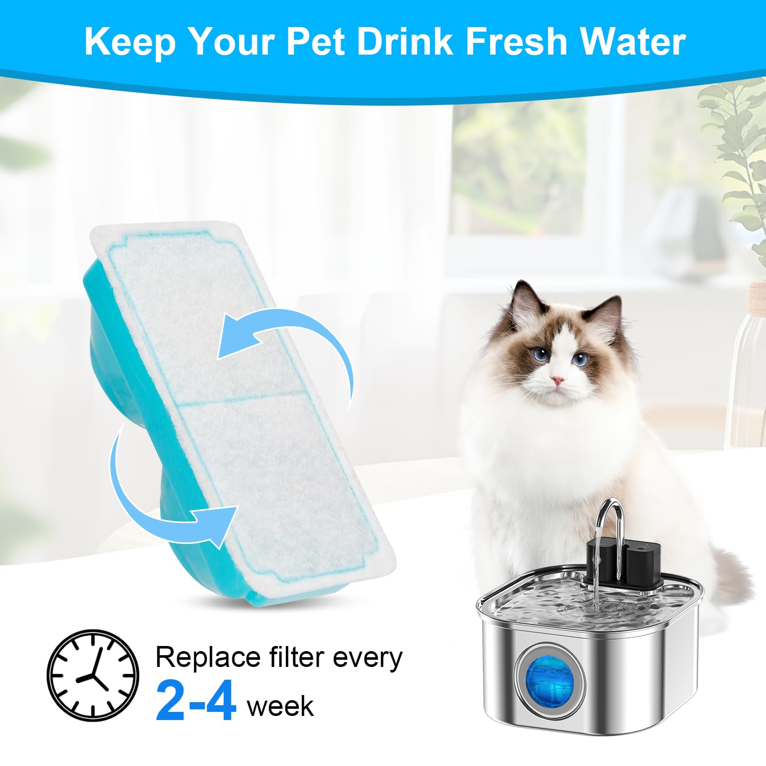 NautyPaws cat hydration in daily use scenarios for better water access.