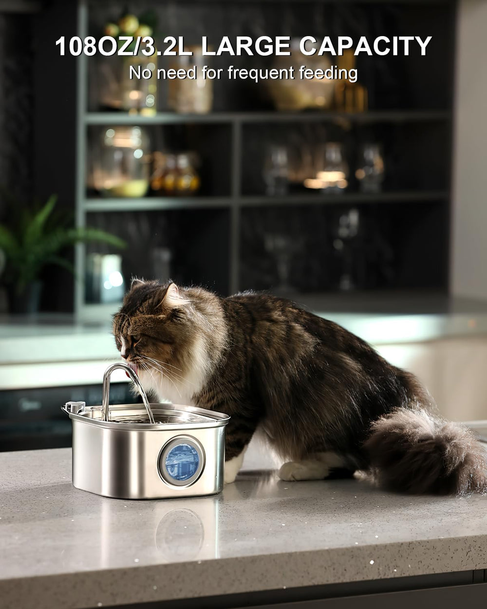 NautyPaws ultra-quiet pump operating under 20dB