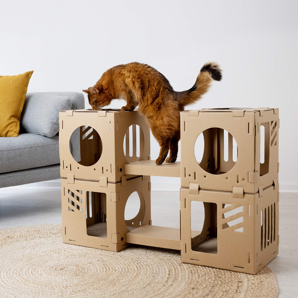 Navaris cat house bridges connect cubes for climbing and exploration.