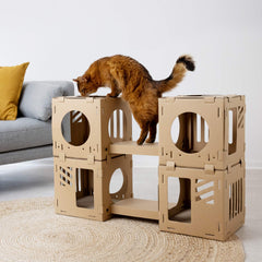 Navaris cat house bridges connect cubes for climbing and exploration.