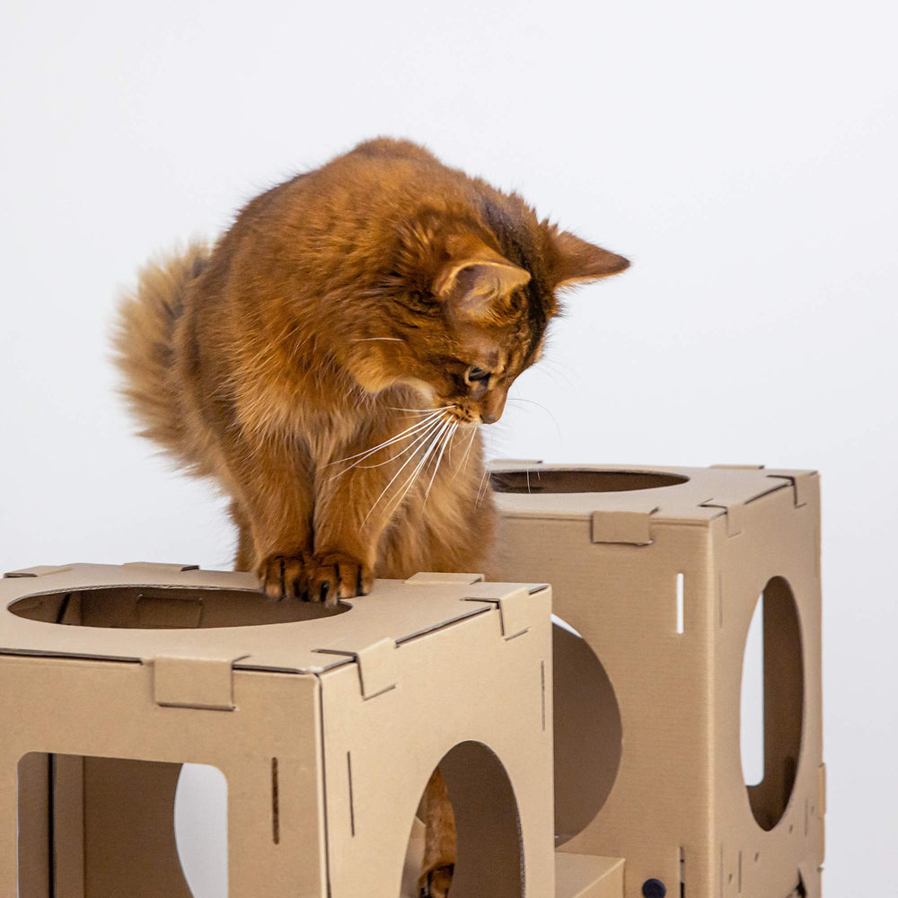 Navaris small-pets friendly cat house invites cozy naps.