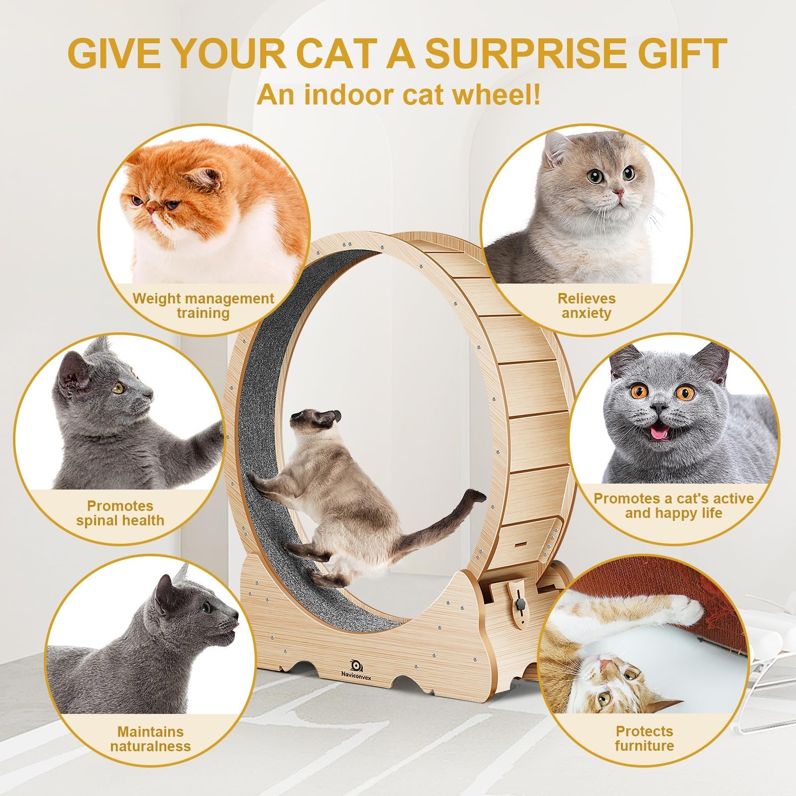 Naviconvex cat wheel base stability ensures sturdy workouts.