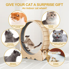 Naviconvex cat wheel base stability ensures sturdy workouts.