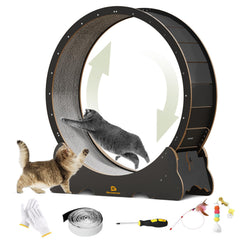 Naviconvex Cat Wheel front view showing sturdy frame for indoor exercise