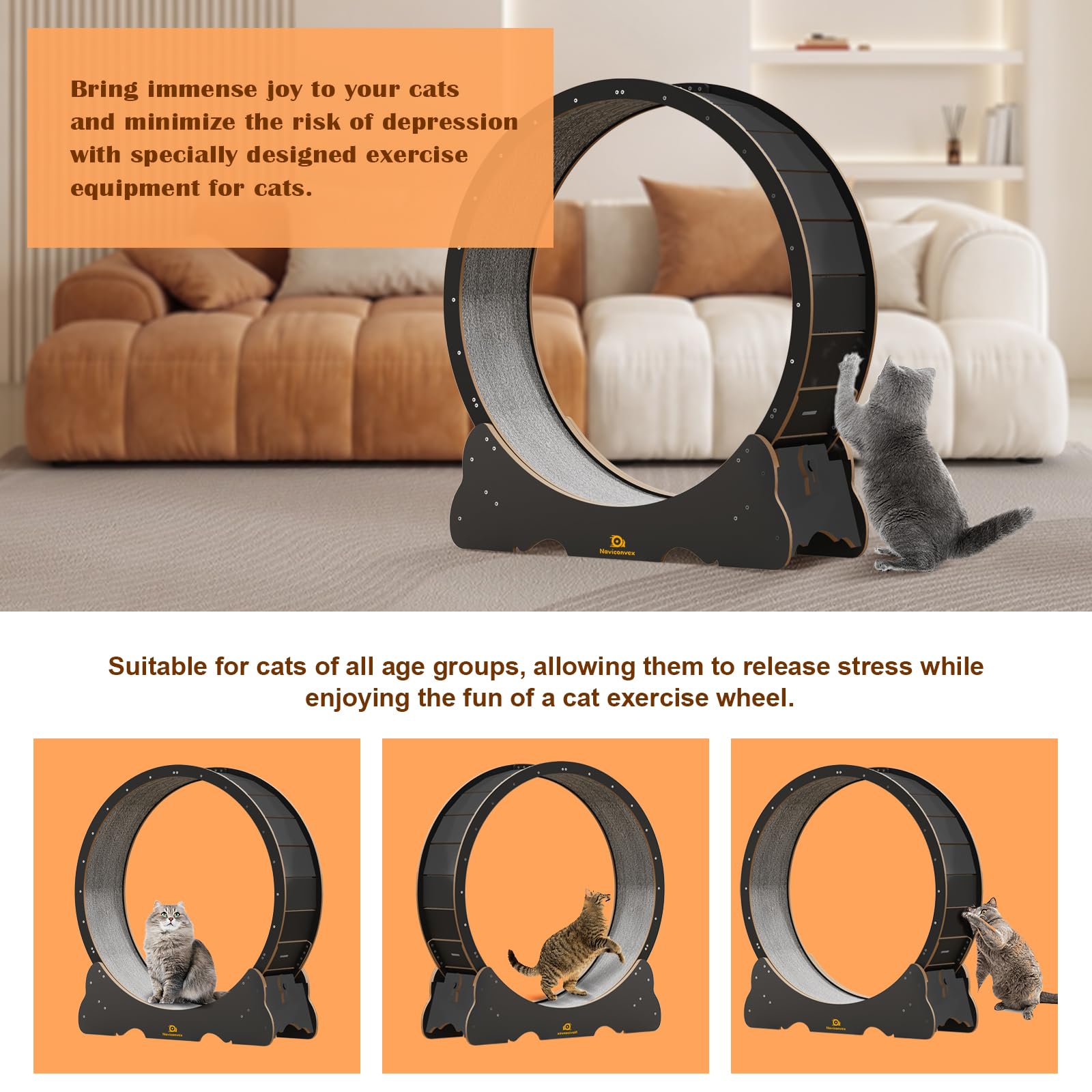 Naviconvex Cat Wheel in use with a cat exercising indoors