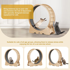 Naviconvex Cat Wheel: large running space supports different cat sizes with comfortable strides.