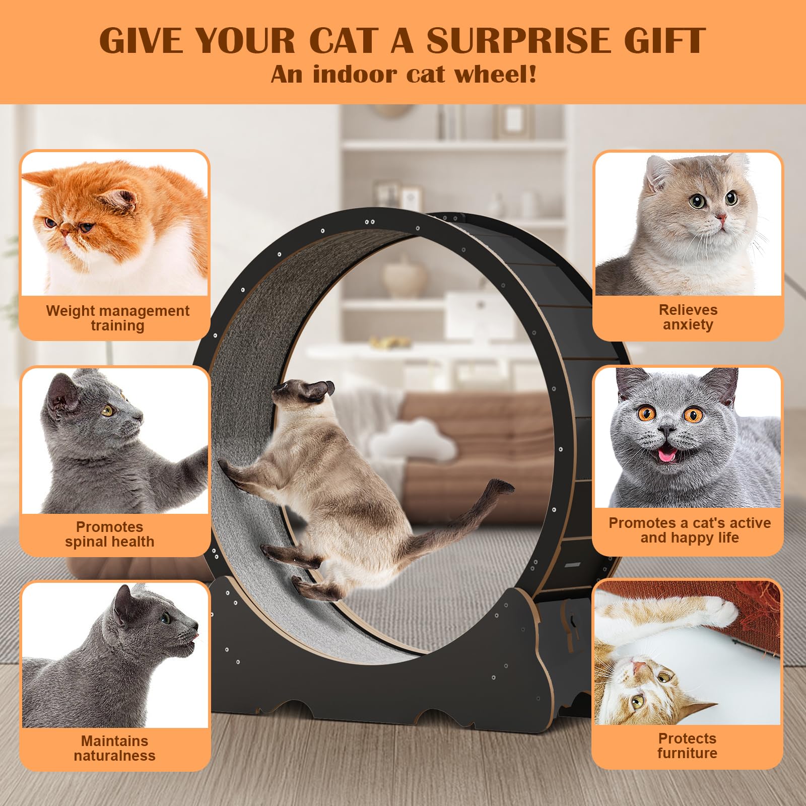 Naviconvex Cat Wheel side profile highlighting space-saving design