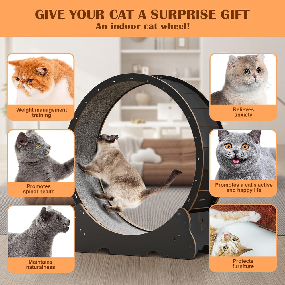 Naviconvex Cat Wheel side profile highlighting space-saving design