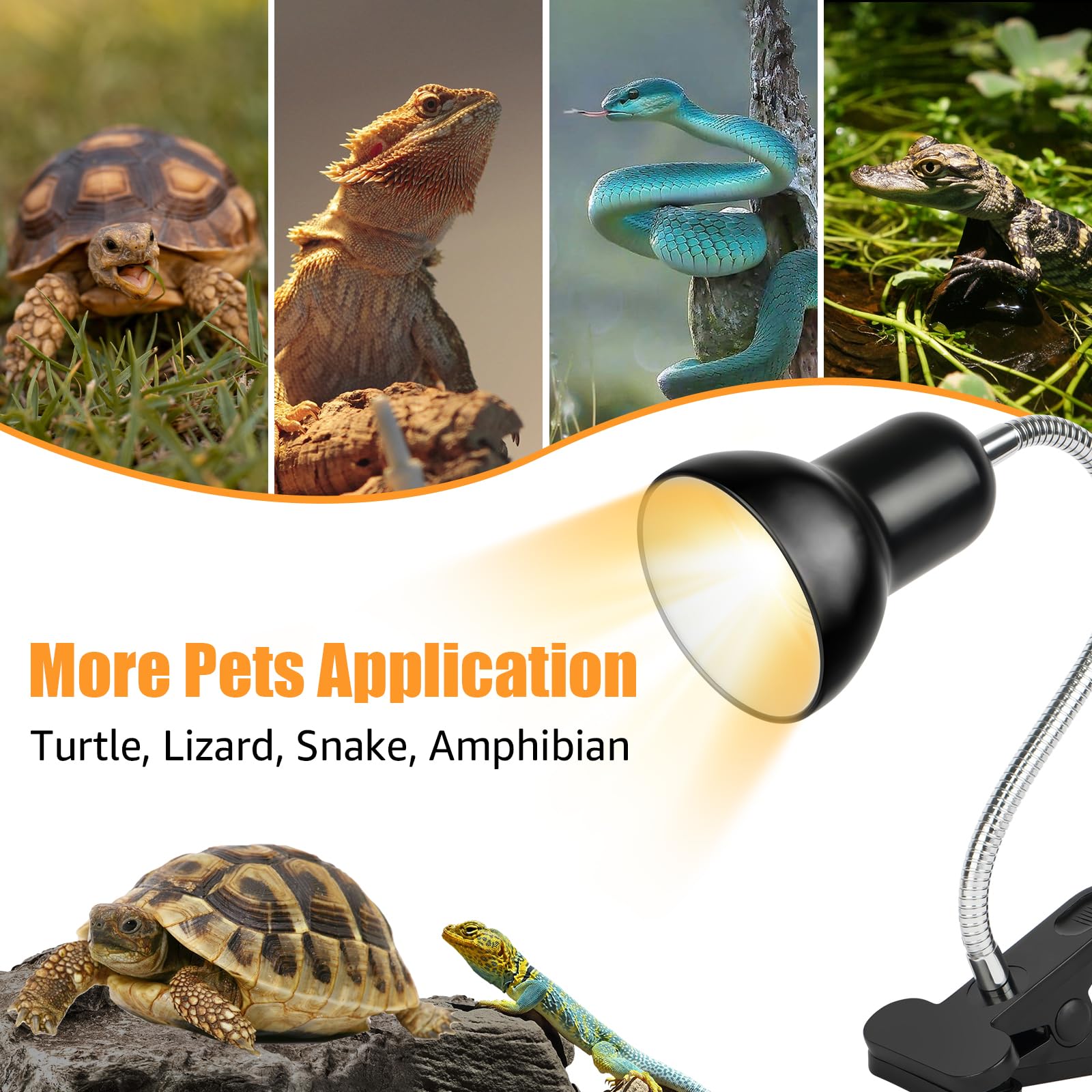 NBIIUYIGE turtle heat bulb 50W provides larger heat zone for bigger tanks.