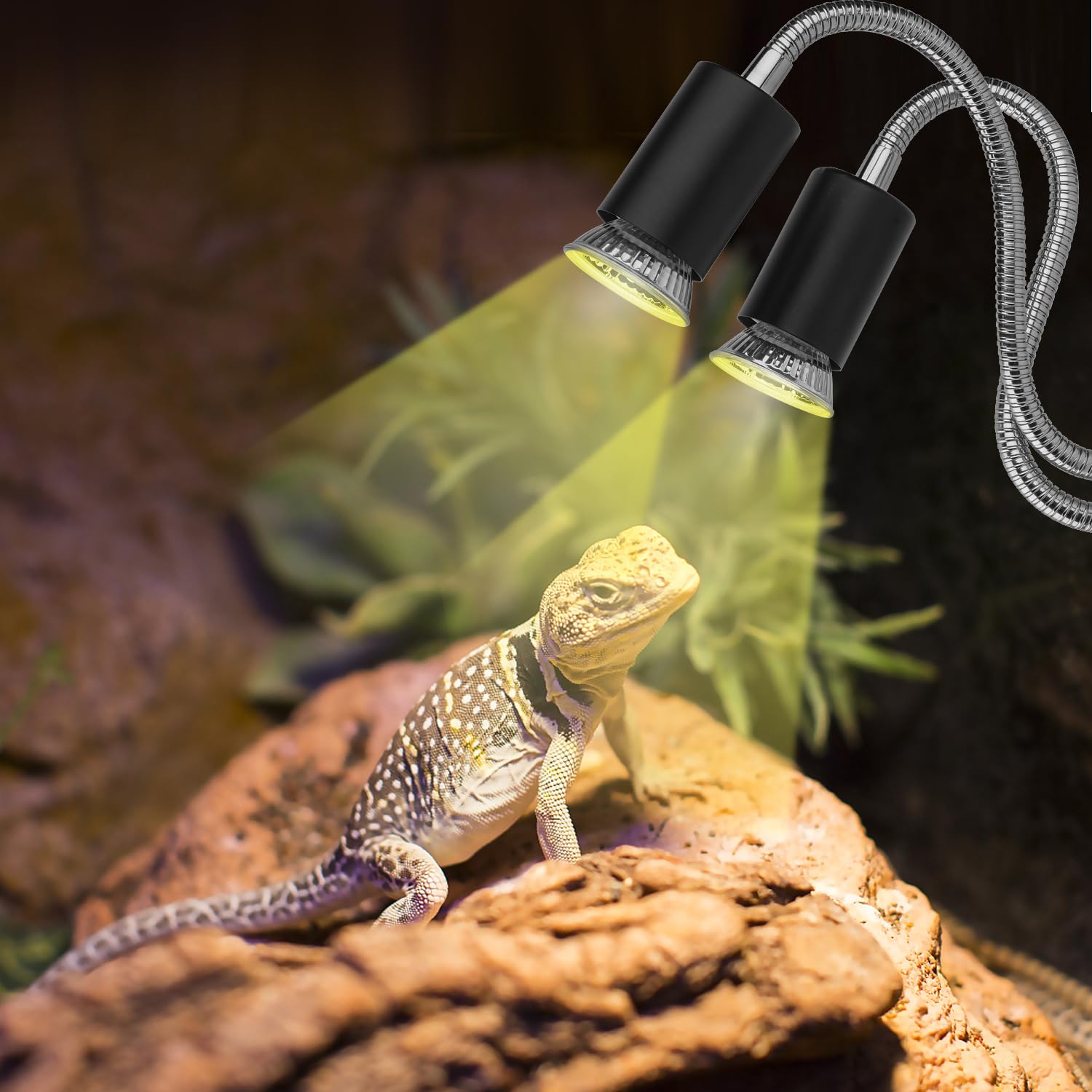 NBIIUYIGE versatile reptile-plant compatibility for terrarium setups