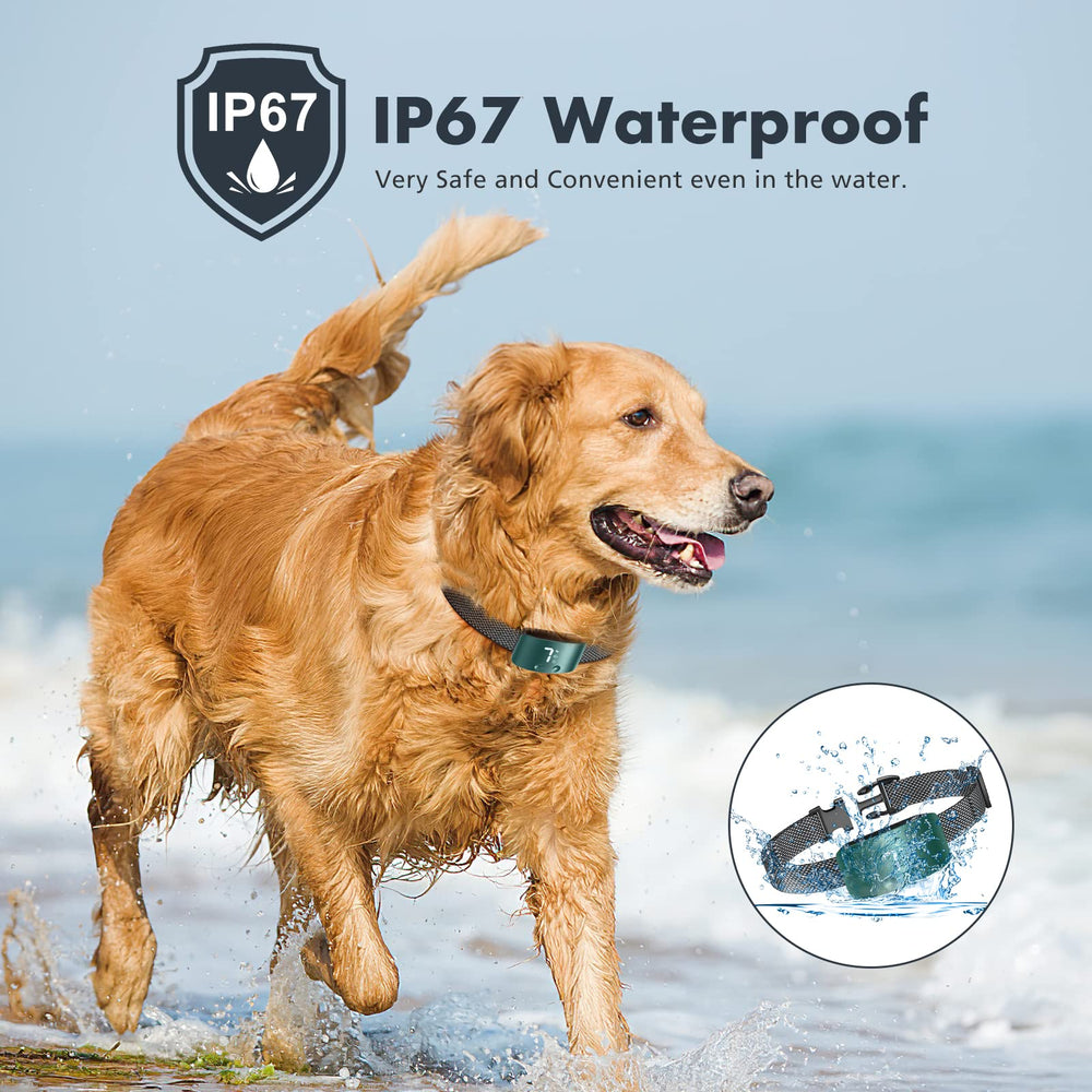 NBJU bark collar IP67 waterproof for rainy walks.