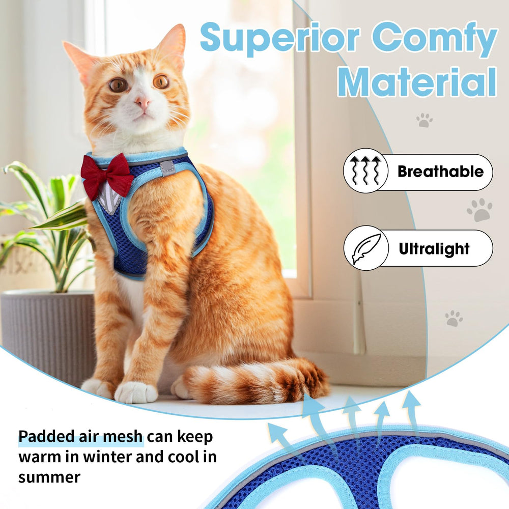 NCMAMA breathable mesh fabric keeps kitten comfortable during long walks