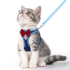 NCMAMA cat vest harness blue shown on kitten for secure outdoor walking