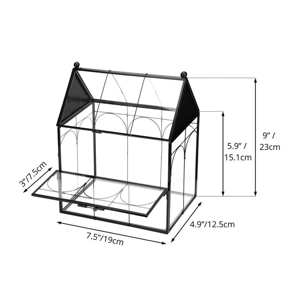 NCYP black-frame terrarium close-up highlights a sleek home decor accent.