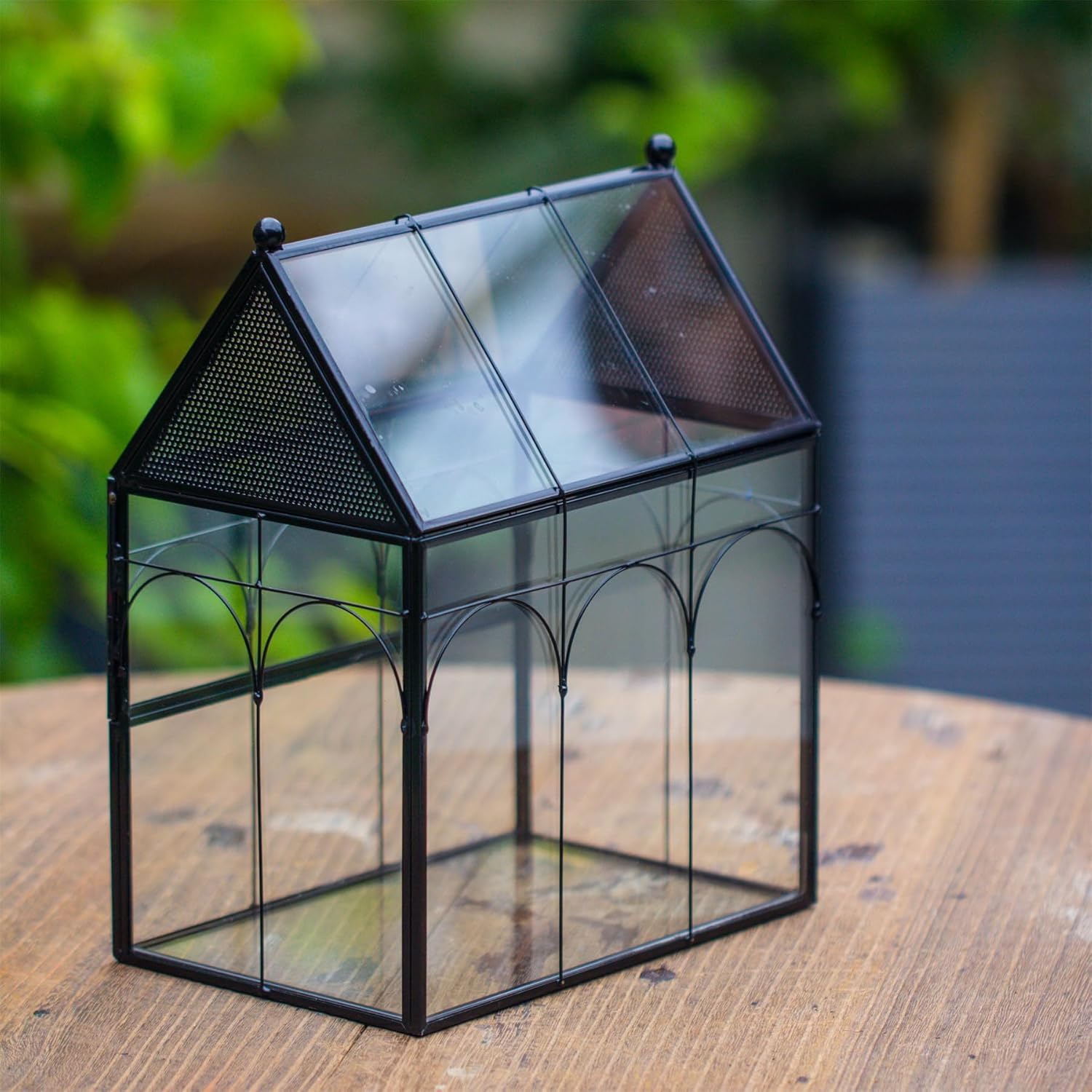 NCYP dry-use display with succulents and air plants in a compact layout.