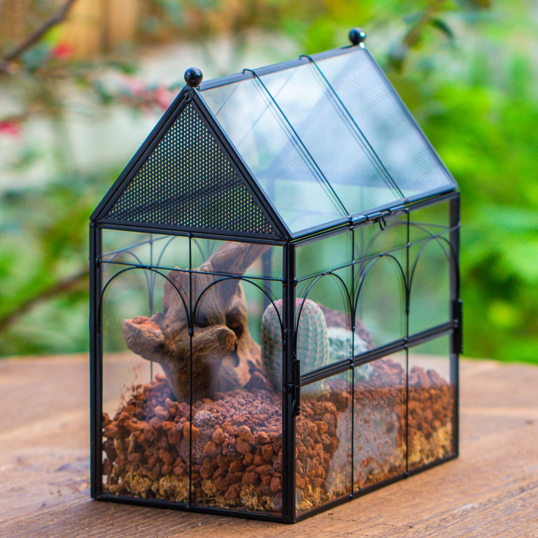NCYP geometric glass terrarium design adds a bright, clean accent to any space.