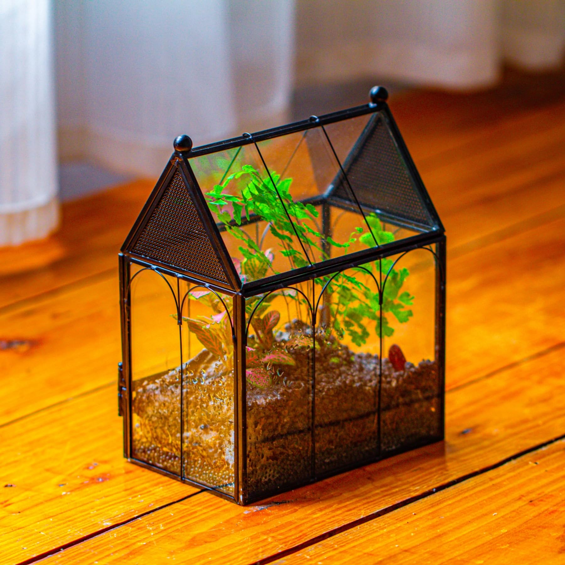 NCYP geometric glass terrarium on desk enhances home decor
