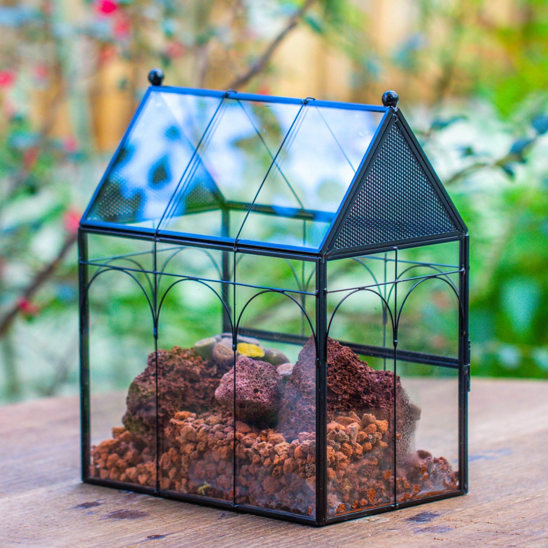 NCYP home or office decor terrarium for tabletop displays.