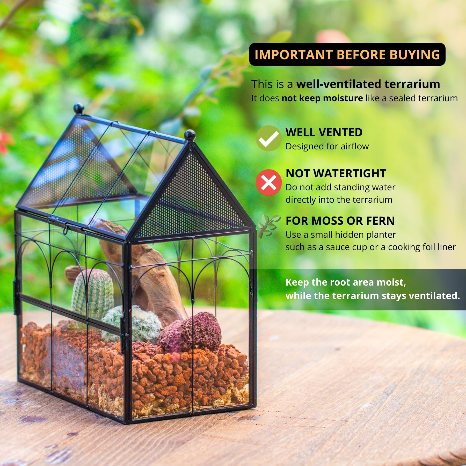 NCYP house-shaped glass terrarium offers a modern display from multiple angles.