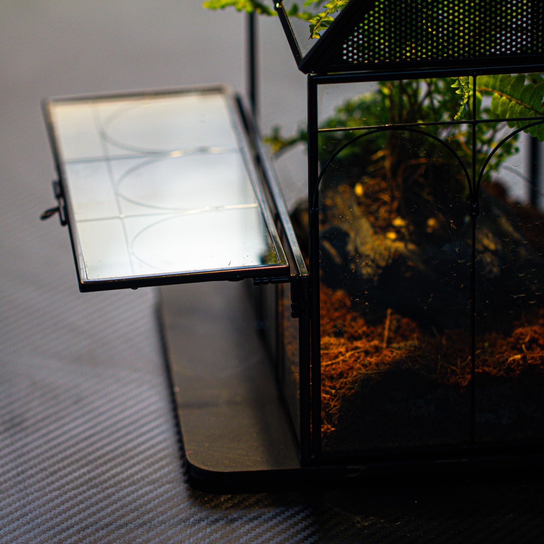 NCYP inner-planter moss option demonstrates moisture management inside the enclosure.
