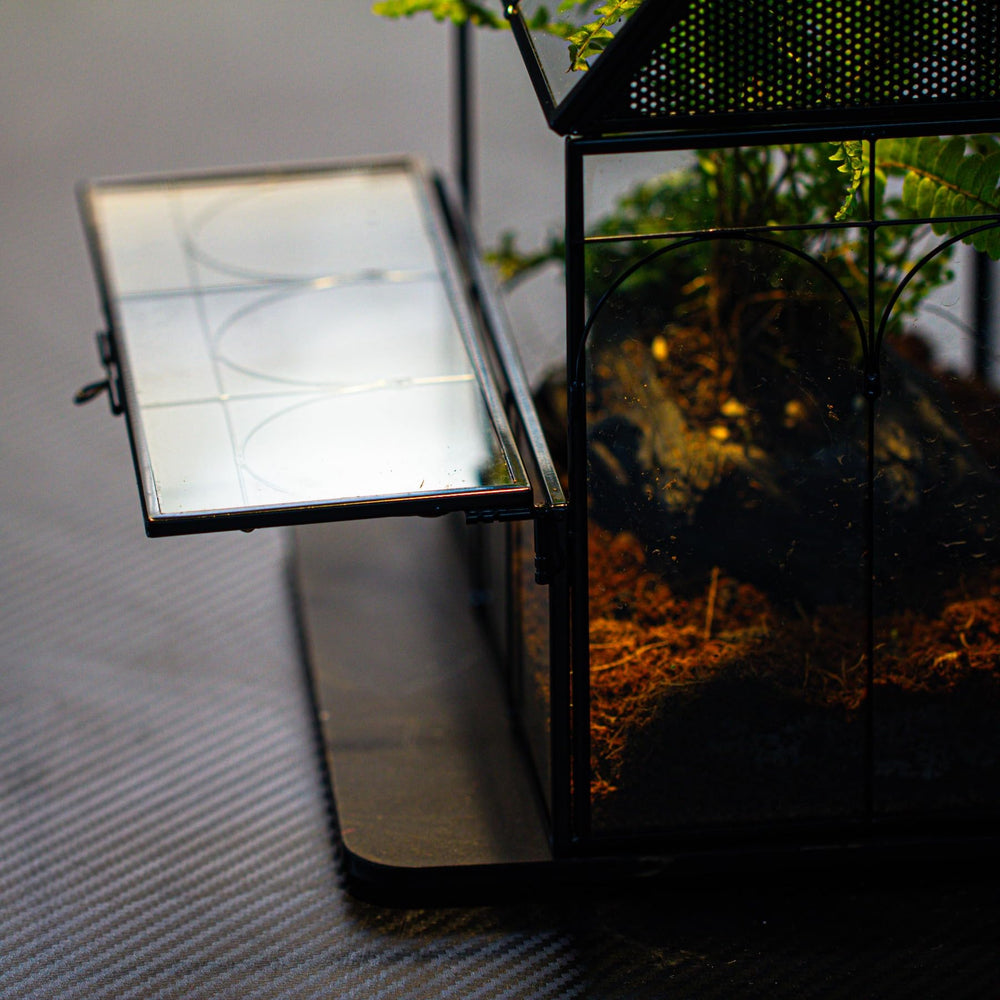 NCYP inner-planter moss option demonstrates moisture management inside the enclosure.